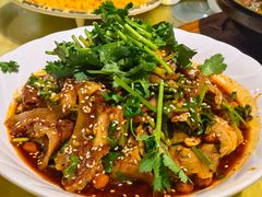 -柏合黄记豆腐皮饭店