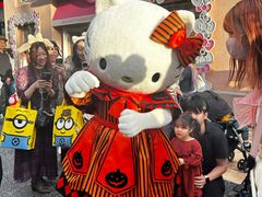 -日本环球影城