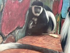 -黔灵山公园-南门售票处