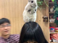-藦茜花园宠物主题亲子互动体验馆(国顺东路店)