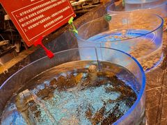 -焰江山·海鲜牛排烤肉自助(环形中心店)