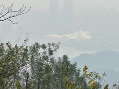 -茶颜悦色(岳麓山顶店)