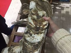 -蚝专家(北滘店)