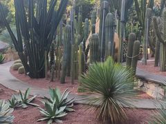 -深圳仙湖植物园