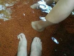 -黄山温泉国际旅游度假区