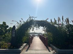 -芒洲湿地公园