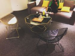 -MJ skin care国际皮肤管理中心