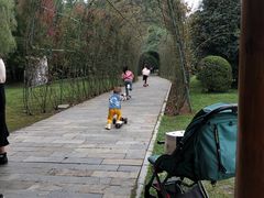 -东湖落雁景区