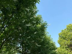 -幕燕滨江·长江观音景区