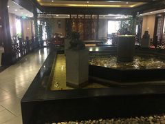 -老六杀猪菜(进乡街店)