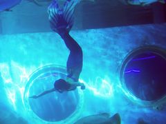 -北戴河圣蓝海洋公园