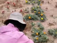 -鄂尔多斯野生动物园