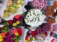 -秦美花卉(天朗·莱茵小城2期店)
