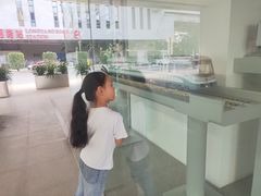 -龙阳路磁悬浮列车总站-停车场