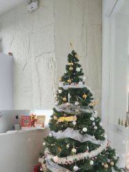 点击看大图 -慕名造型