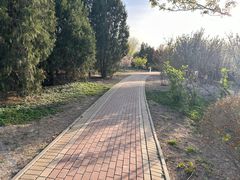 -大港湿地公园