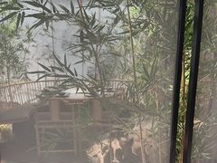 -绿茶餐厅(青岛城阳万象汇店)