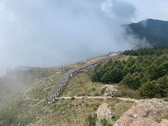 -白草畔自然风景区