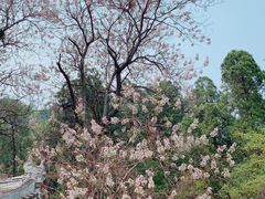 -上方山云水洞