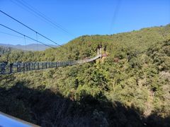 -九龙江国家森林公园