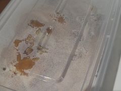 -须水邓记叫化鸡(长兴路店)