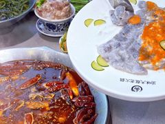 -渝大龙重庆火锅(温泉月亮湾店)