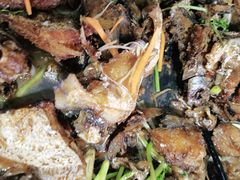 -宾朋海鲜美食餐厅·特色美食(兴海路店)