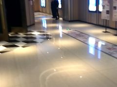-百丽宫影城(CGS激光苏宁广场店)