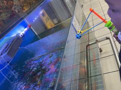 -淮安曙光国际大酒店(大运河广场花街店)