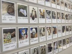 -御宝贝24h宠物医院·转诊中心·CT核磁血透中心(厦门总院)
