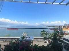 -野菌皇海景野生菌火锅(滨海大道店)