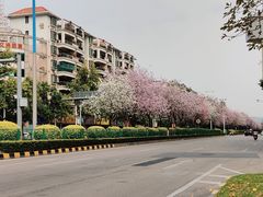 -增城图书馆(荔景大道辅路店)