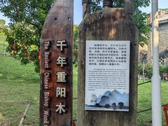 -蔡家宅