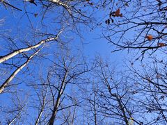 -玉渡山自然风景区