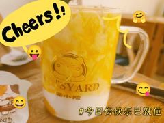 -猫小院猫主题餐厅(南锣旗舰店)