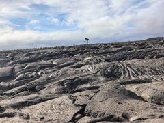 -夏威夷火山国家公园