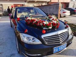 -蚂蚁婚车