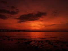 -宝安西湾红树林湿地公园