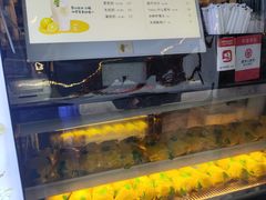 -猫的魔法密林(衣裳街店)