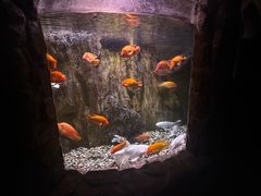 -多彩贵州城极地海洋世界