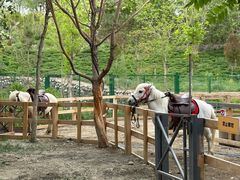 -水上乐园·欢乐世界