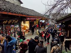 -陈建平麻花(磁器口总店)