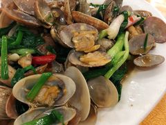 豉汁炒花甲-双月饭店·20年老字号(新村店)