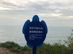 -广东惠东海龟国家级自然保护区