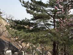 -崂山仰口游览区