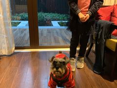 -上海崇明金茂凯悦酒店