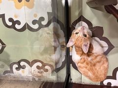 -曼谷食堂·泰国家庭料理(丹桂路店)