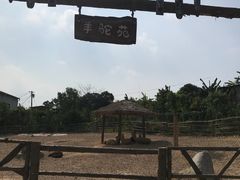 -泉州海丝野生动物世界