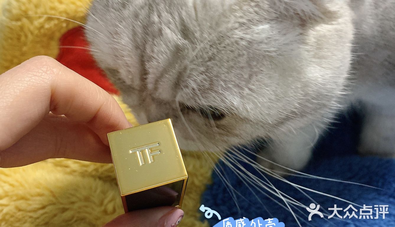 新年贵妇口红TF16丨最好看的烂番茄色~