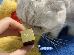 -TOM FORD BEAUTY(IFS店)